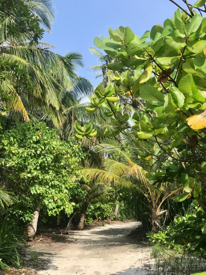 Ahiva Village Fulhadhoo Exterior foto