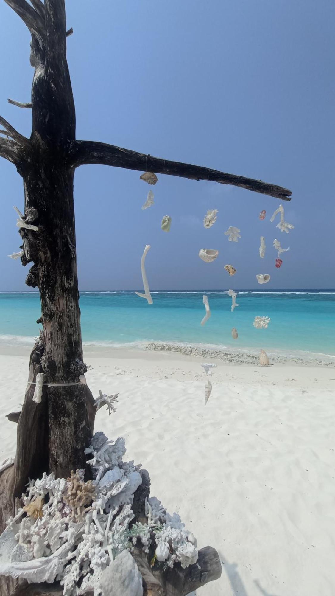 Ahiva Village Fulhadhoo Exterior foto